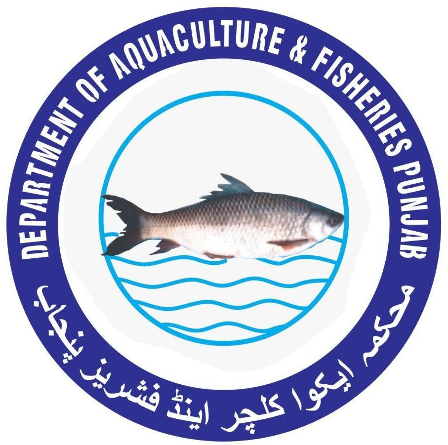 Punjab Shrimp Internship Program | Fisheries Department Punjab